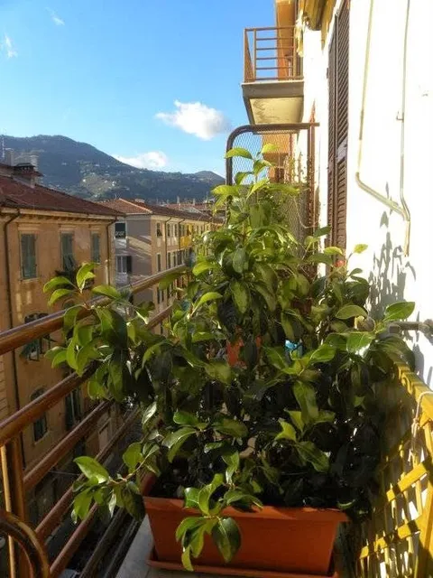 Affittacamere Le Vele