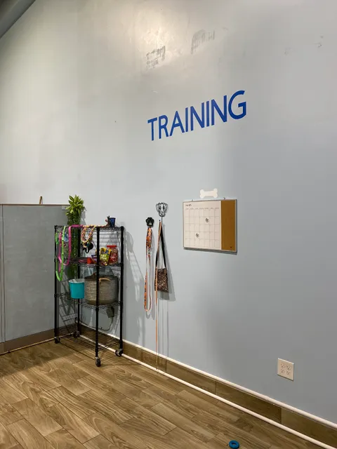 Sugar Sweet Georgia Puppies