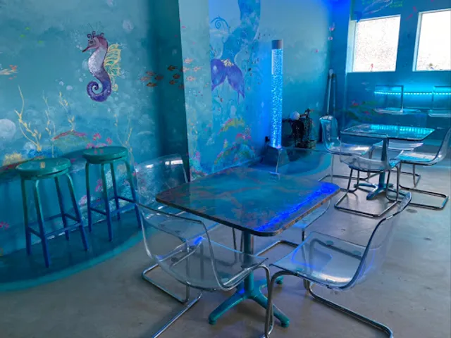 Best Ice Cream “Under The Sea Experience” and Mermaid Room Cafe