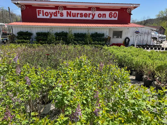 Floyd's Nursery On Rt. 60