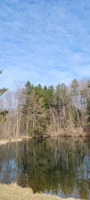 Russell Uplands Preserve