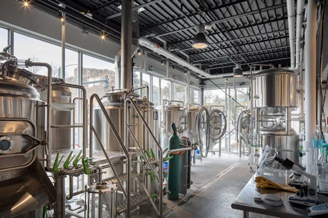 Wild Blue Yonder Brewing Co.