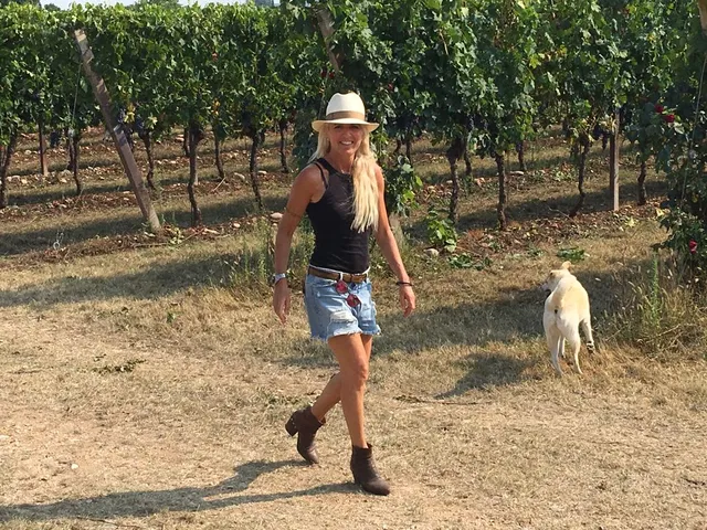 Azienda Agricola Giovanna Tantini e Agriturismo I Mischi