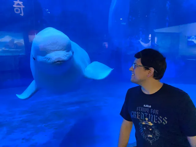 Tianjin Haichang Polar Ocean World