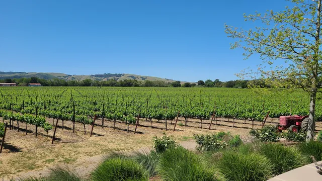 Sangiacomo Vineyards