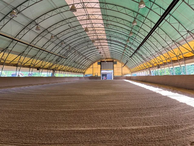 Sunflower Barns of Bristol