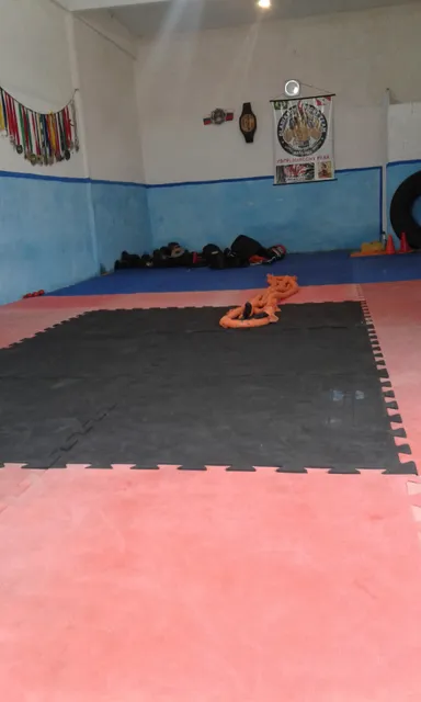 Panificadora Esperança