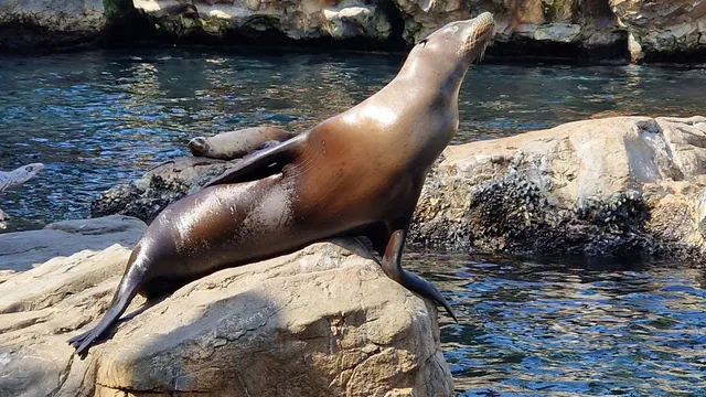 Pacific Point Preserve