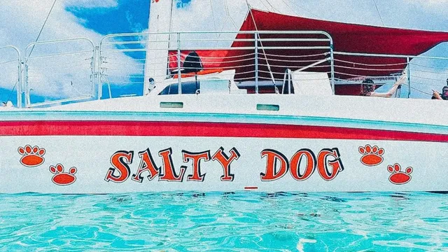 Salty Dog Catamaran