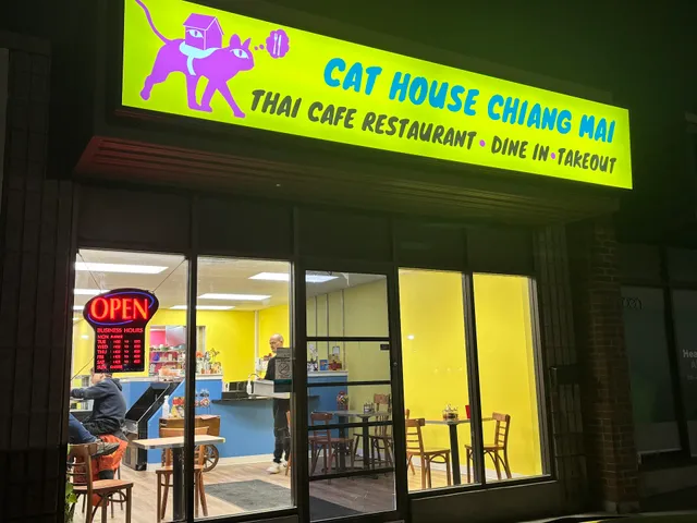 Cat House Chiangmai @ Kingston