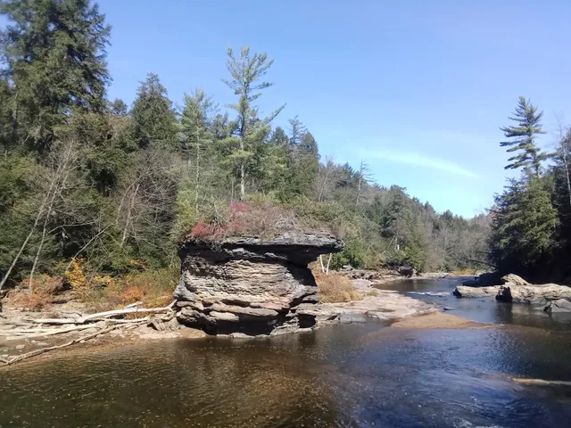 Upper Tyrone Township