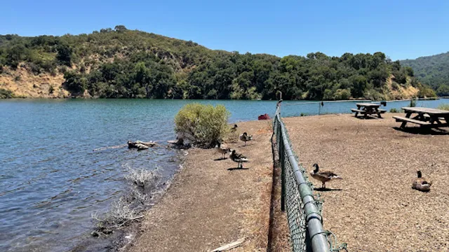 Stevens Creek County Park Lakeshore Picnic Area