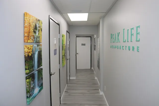 Peak Life Acupuncture, INC.; Glendale Acupuncture