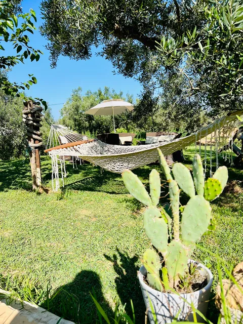 دار شدلية Dar Chadlia