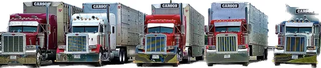 Swisher County Feedyard