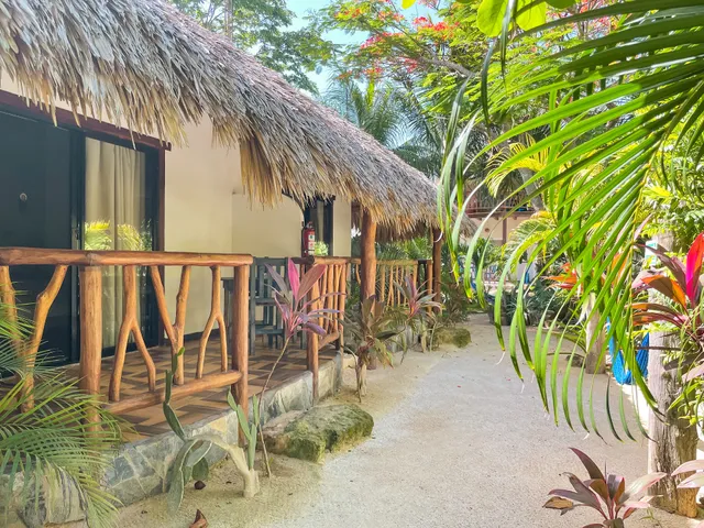 Zamunda Garden View Apartments