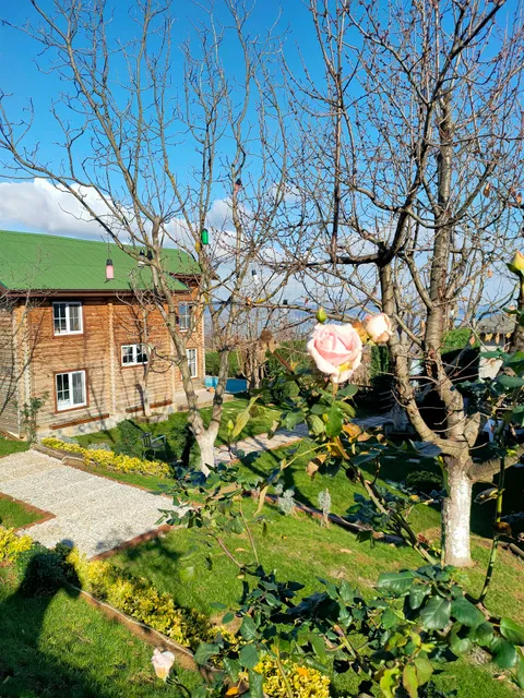 Sapanca Sahra Kütük Evleri