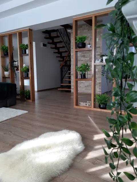 Sky View Ranca Transalpina