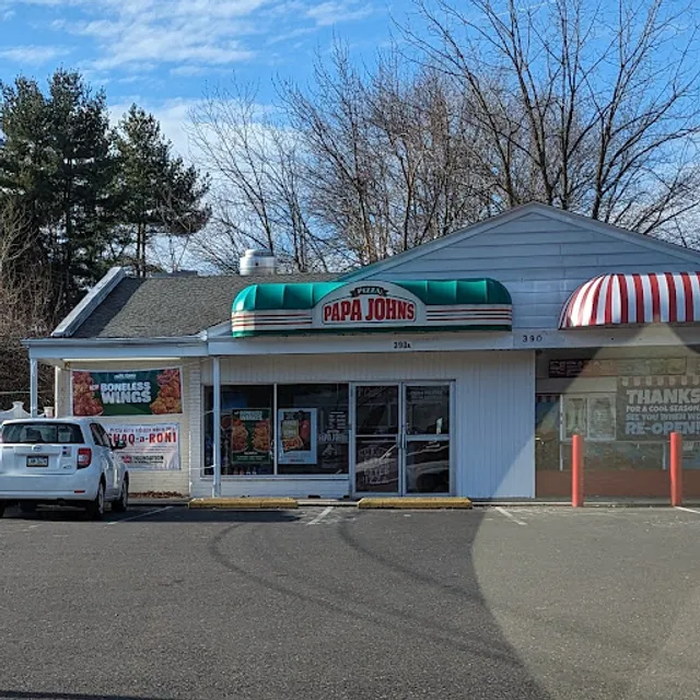 Papa Johns Pizza