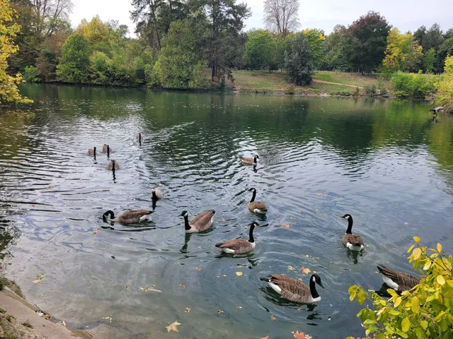 Cascade du Bois de Boulogne