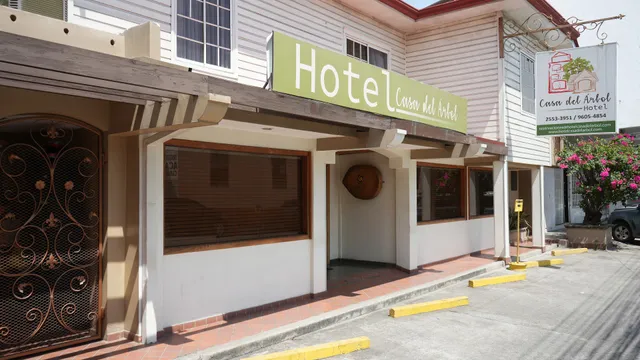 Hotel Casa del Arbol
