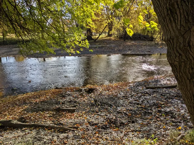 Sidney Yates Flatwoods