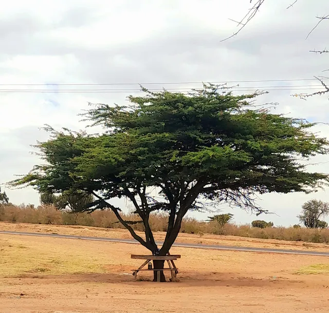 Masai Village Oyarata House