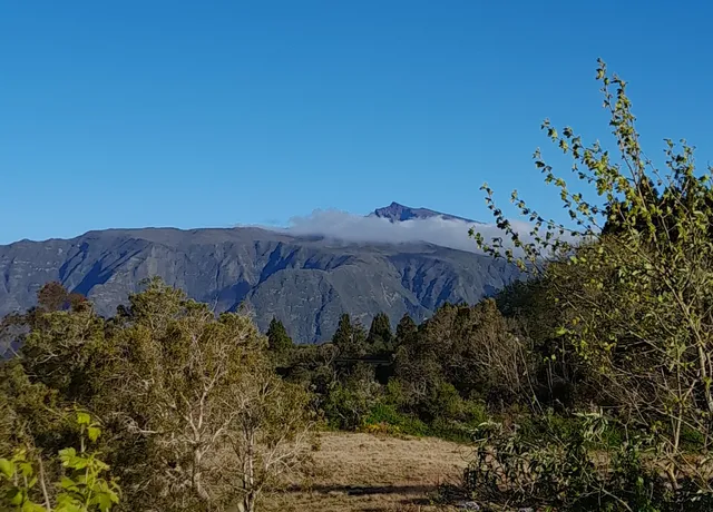 The Volcano Réunion