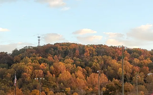 Loyal Order of Moose