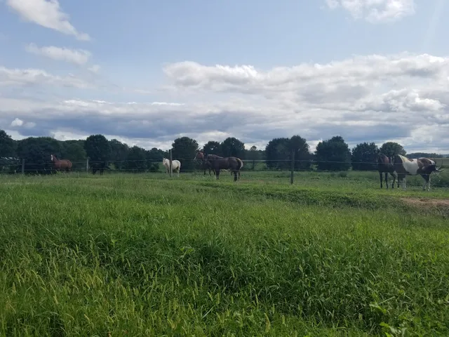 Maryland Sunrise Farm