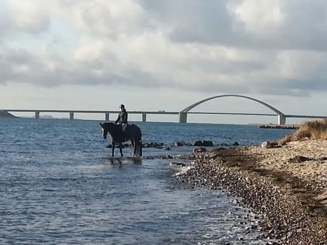 Ferienwohnung Ostseebrise-Fehmarn