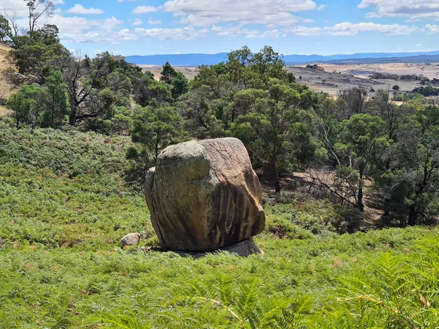 Cork Oaks camp grounds