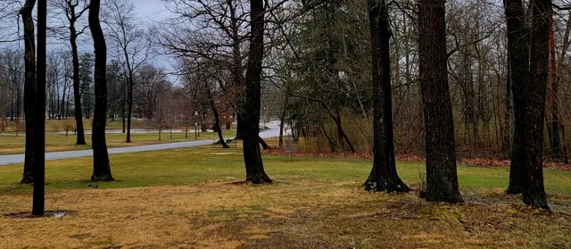 Buhl Park Disc Golf Course