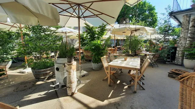 Gasthof und Metzgerei zum Löwen AG