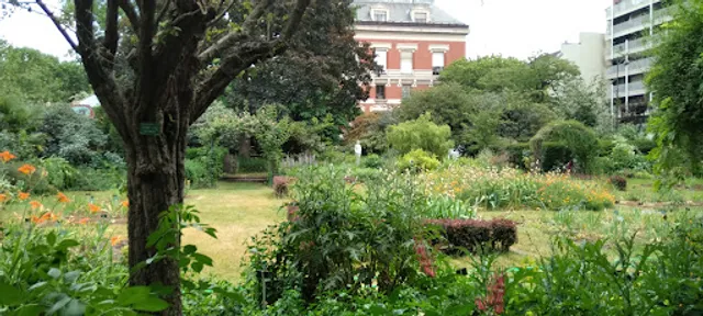 iris et de plantes vivaces Garden