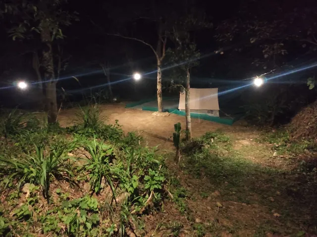 90's Hill Valley Resort