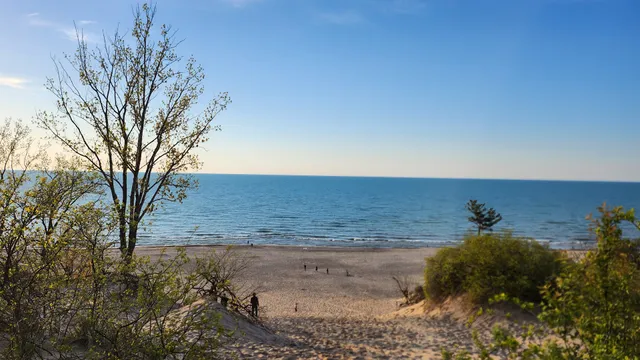 Indiana Dunes State Park Bird Observatory