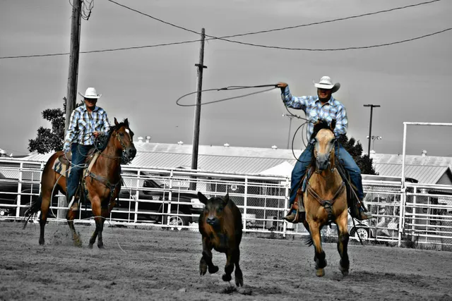 Lincoln County Fairgrounds