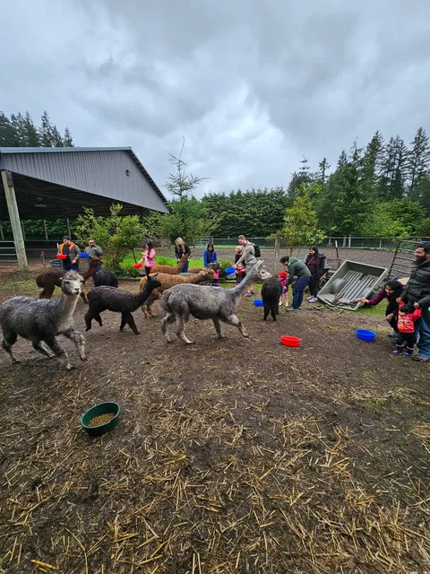 Enchanted Farms - Farm & Boutique