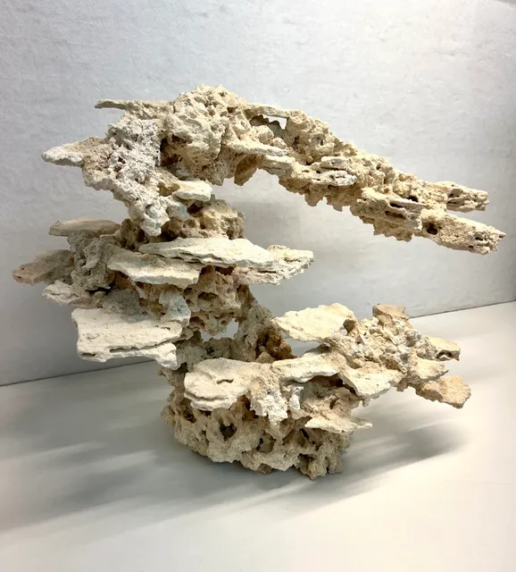 Reef Scape Designs Inc