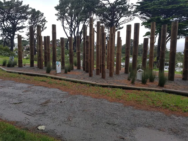 Matairangi Nature Trail - Logs & Slide