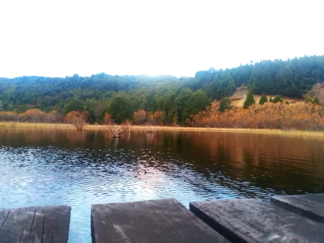 Cabañas Lonco-Lafken