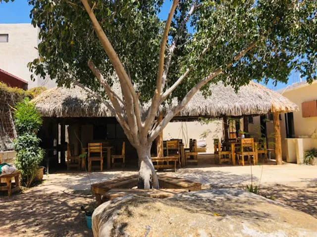 Mi Palapa