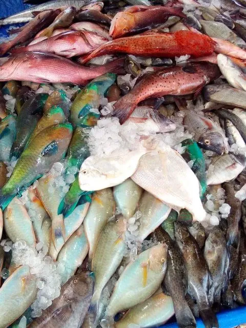 مؤسسة المالح لتجارة الأسماك (أسماك المالح البحرية)