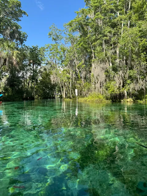 Kaceys Custom Adventures Kayak Rentals and Tours