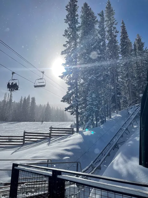 Breathtaker Alpine Coaster