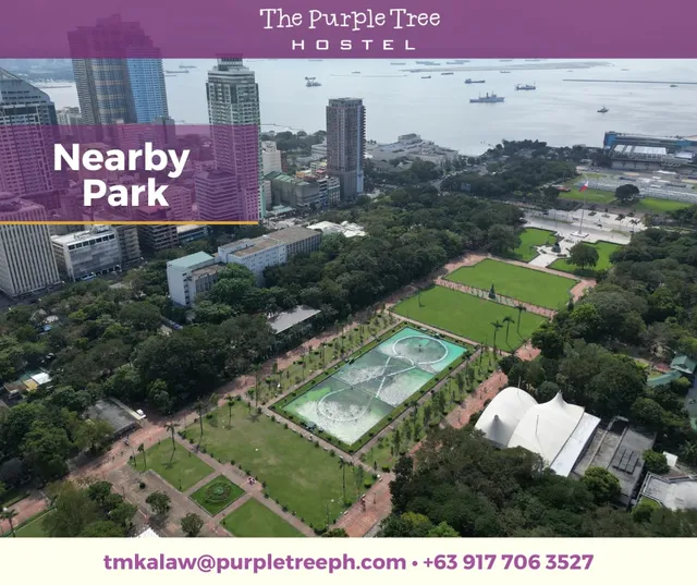 The Purple Tree Hostel