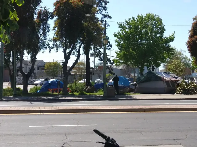 St. Vincent de Paul Society