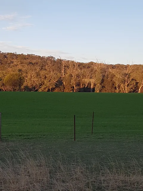 Lavendale Country Retreat