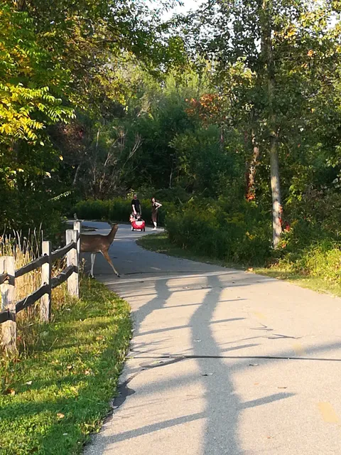 Portage Creek Bicentennial Park